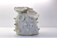 2026_07_01_Argenis_Apolinario_Cecile_WhiteBox_4063