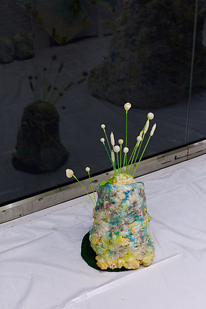 2026_07_01_Argenis_Apolinario_Cecile_WhiteBox_4124