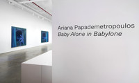 Art Documentation