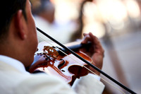 Performances