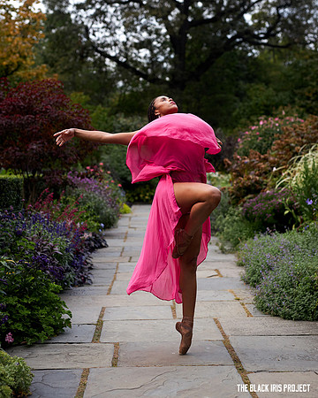 Image captured for Jeremy McQueen’s Black Iris Project