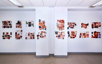 nature of being exhibition at Casita Maria Center for the Arts