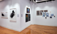 Art Documentation