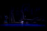 20211205Argenis_Apolinario_Nutcracker_1st_10894