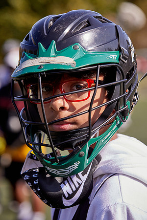 Bronx Lacrosse