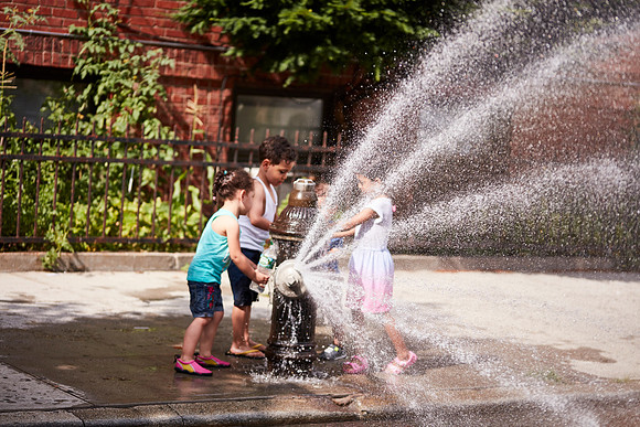 Crown Heights Block party