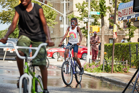 Crown Heights Block party