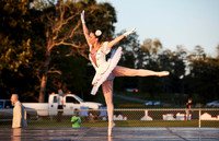 WDCPS_1432