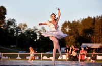 WDCPS_1553