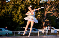 WDCPS_1454