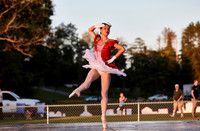 WDCPS_1563