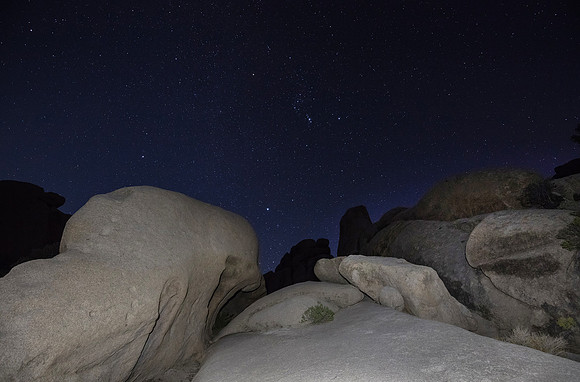 Joshua Tree