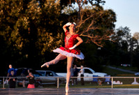 WDCPS_1633
