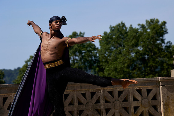Black Iris Project